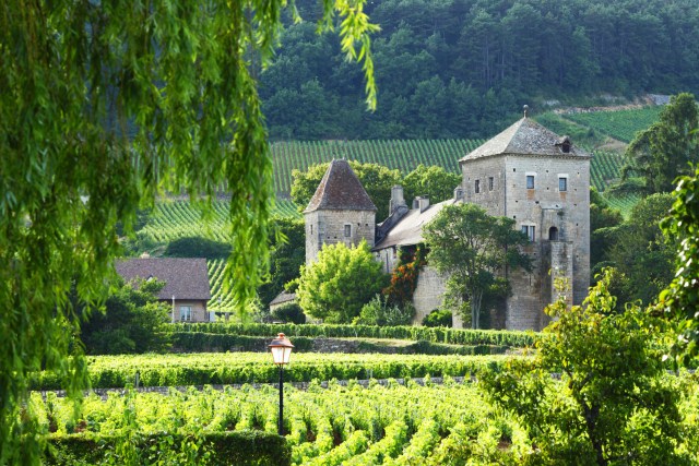 Bourgogne (Burgundy)
