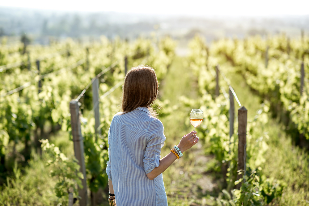 bordeaux wine festival