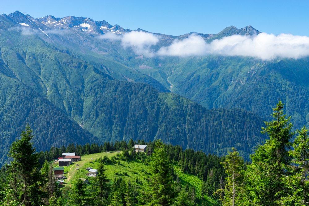 pokut yaylası doğu karadeniz