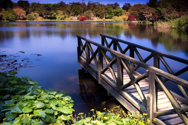 Mount Stewart Gardens