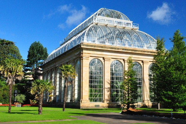 Royal Botanic Garden Edinburgh (Dawyck Garden)