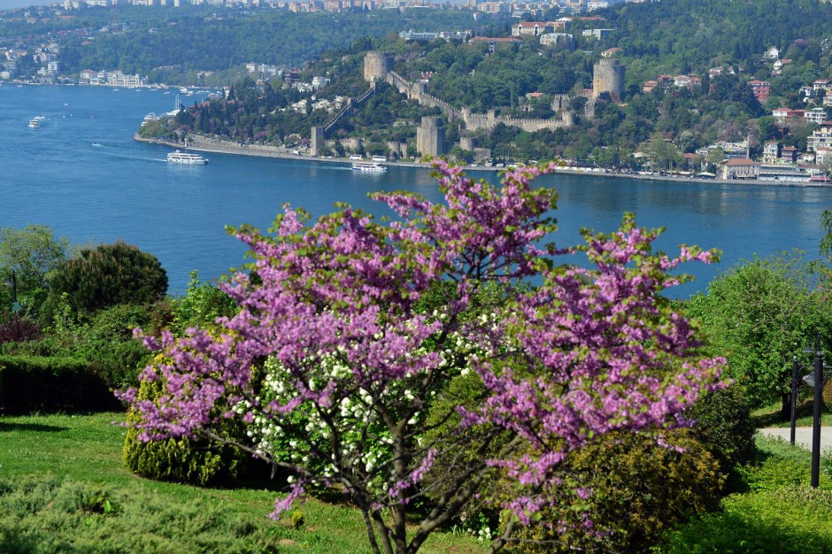 Mayıs Ayı İstanbul Etkinlik Önerileri