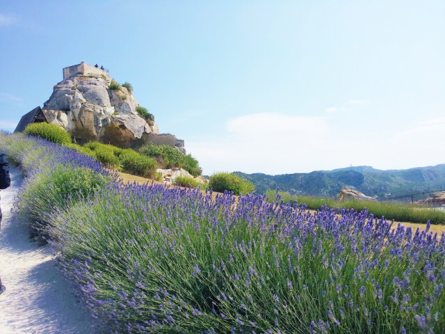 Les Baux-de-Provence