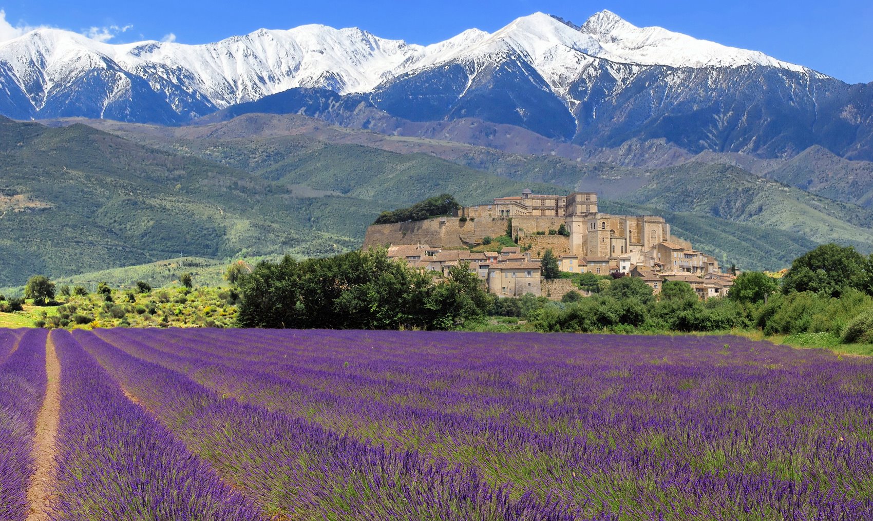 Provence'ı Farklı Rotalarla Keşfedin