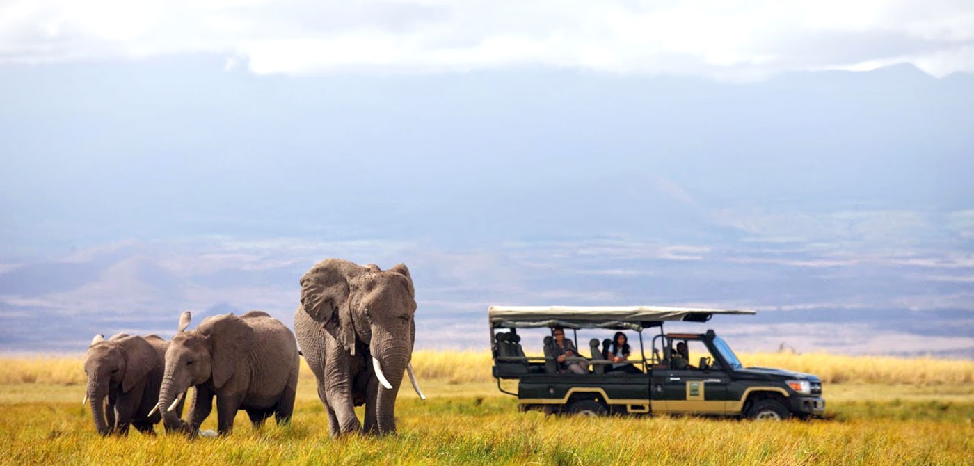 Afrika’nın en iyi safari destinasyonları!