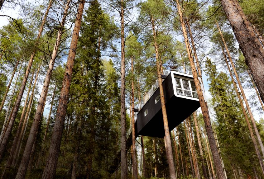 tree hotel 