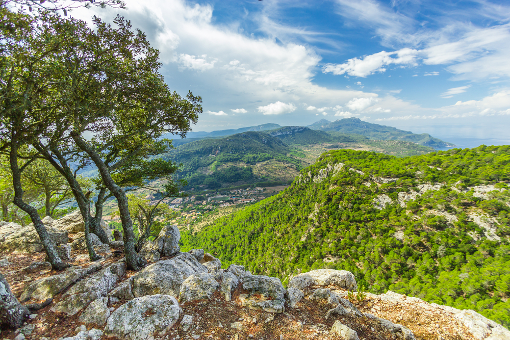 Mallorca'ya Nasıl Gidilir?