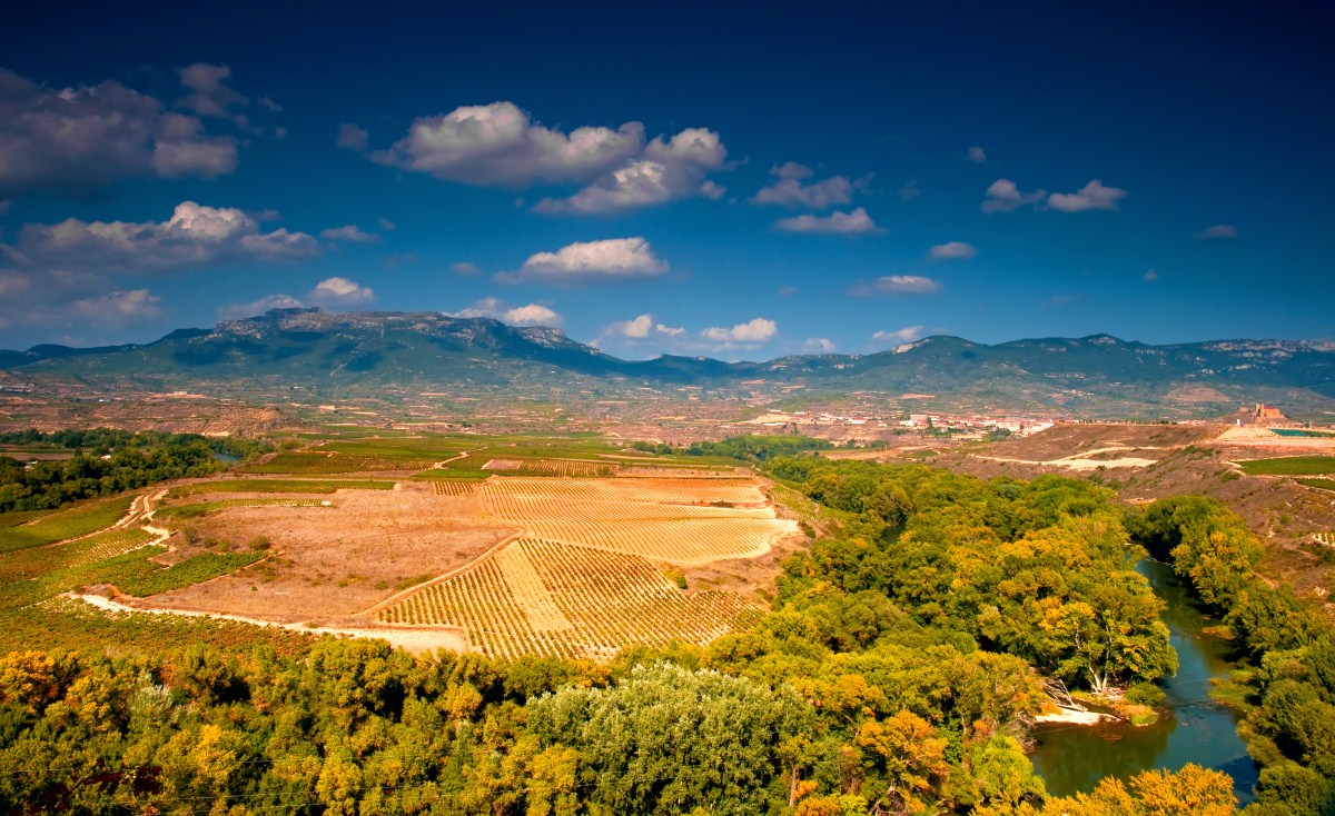 La Rioja'da Ne Yenir, Ne İçilir?